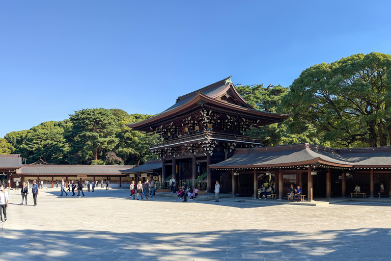 Tour privato di Tokyo in auto con autista di lingua inglese