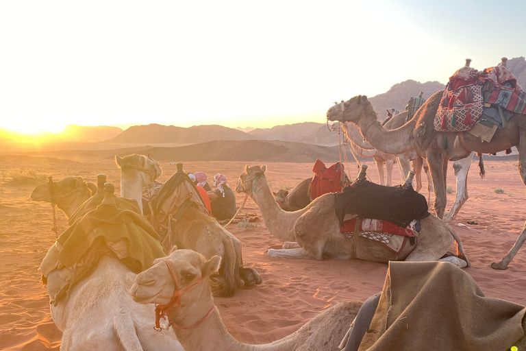 Wadi Rum: Jeep Tour & one night under the stars One night under the stars