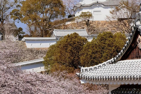 Osaka/Kyoto:Ono Sakura & Himeji Castle Cultural Day Trip Small Group(from/to Osaka)