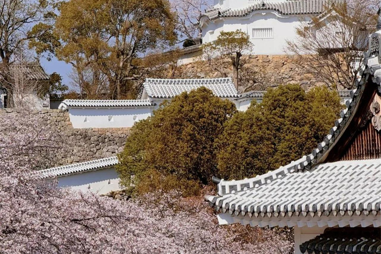 Osaka/Kyoto:Ono Sakura & Himeji Castle Cultural Day Trip Small Group(from/to Osaka)