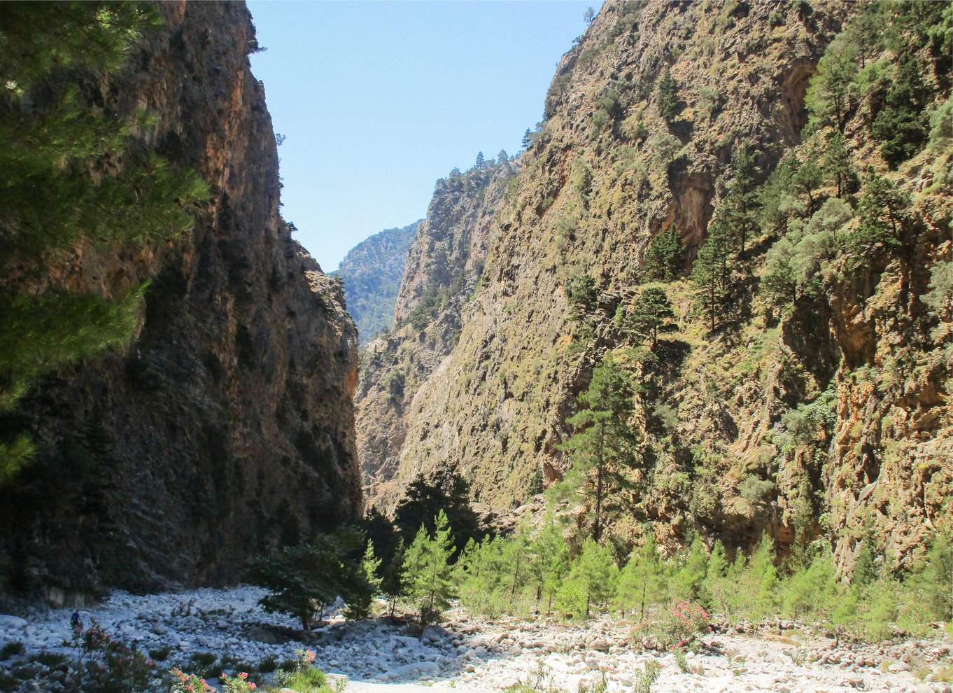 Fra Chania: Heldagsudflugt i Samaria-kløften med guide