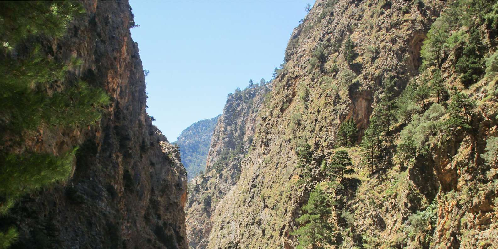 section