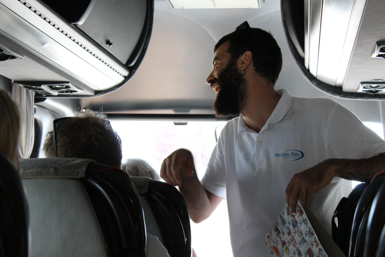 From Naples: Amalfi Coast, Positano, Sorrento & Sunset Tour