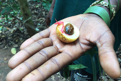 Zanzíbar: El sabor de las especias de Zanzíbar