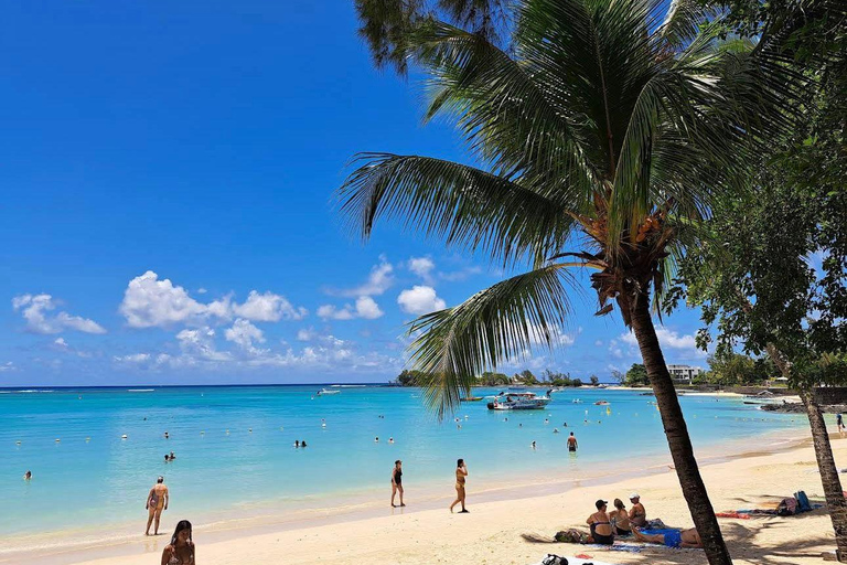 Mauritius Northern Tour