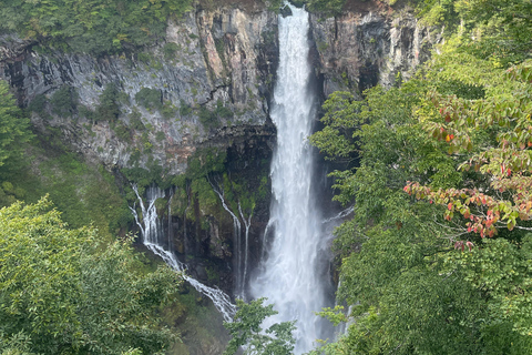 Tour privato di un giorno a Nikko con autista che parla inglese