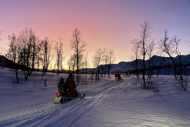 From Tromso: Eco Luxury Snowmobile Adventure to Lyngen Alps