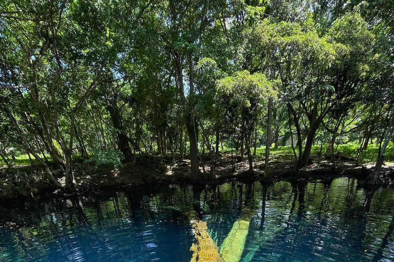 Punta Cana: Guided Eco Walk with Dominican Food Tasting