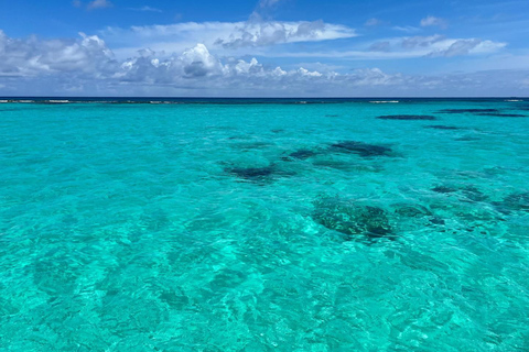 Saona Tour for Mein Schiff passengers from La Romana port