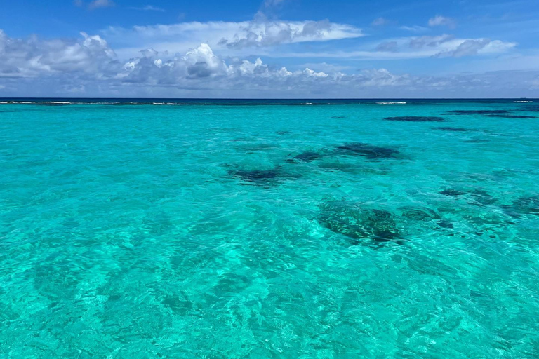Saona Tour for Mein Schiff passengers from La Romana port