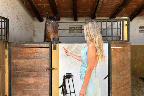 Norway-Gålå: Horseback Riding Tour with Refreshments