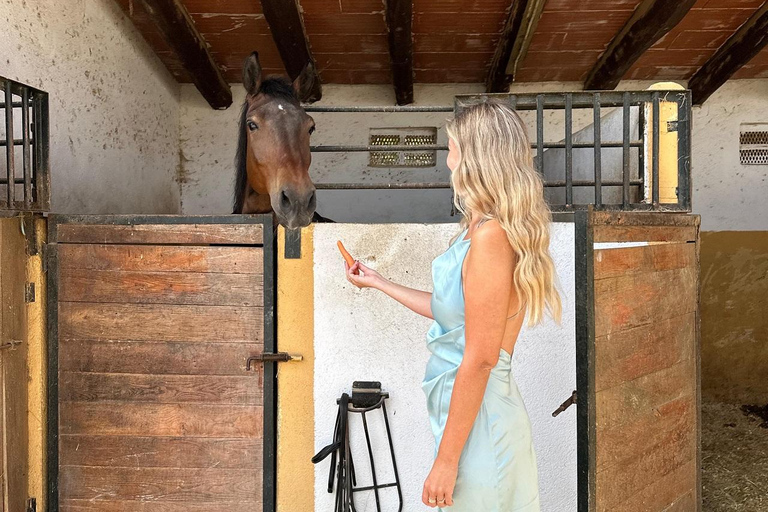 Norway-Gålå: Horseback Riding Tour with Refreshments