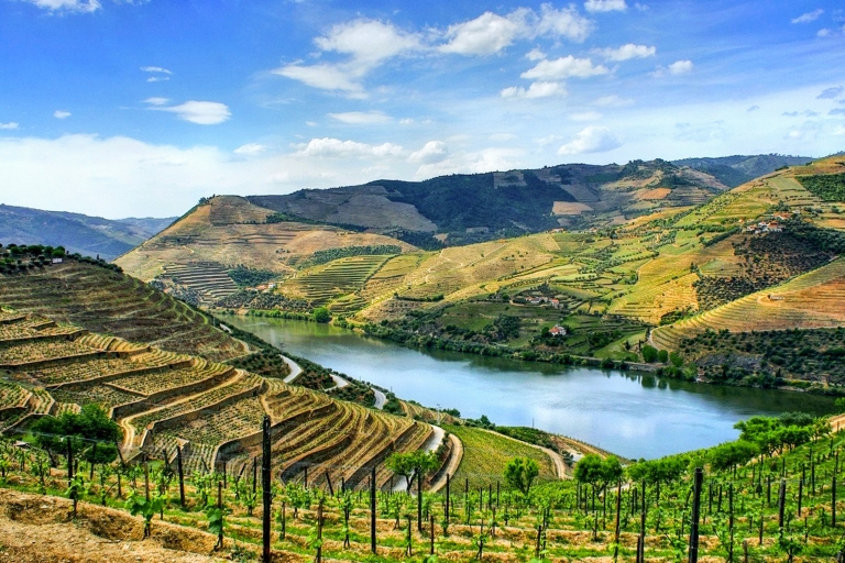 Oporto: valle del Duero con cata de vino, almuerzo y cruceroTour en grupo