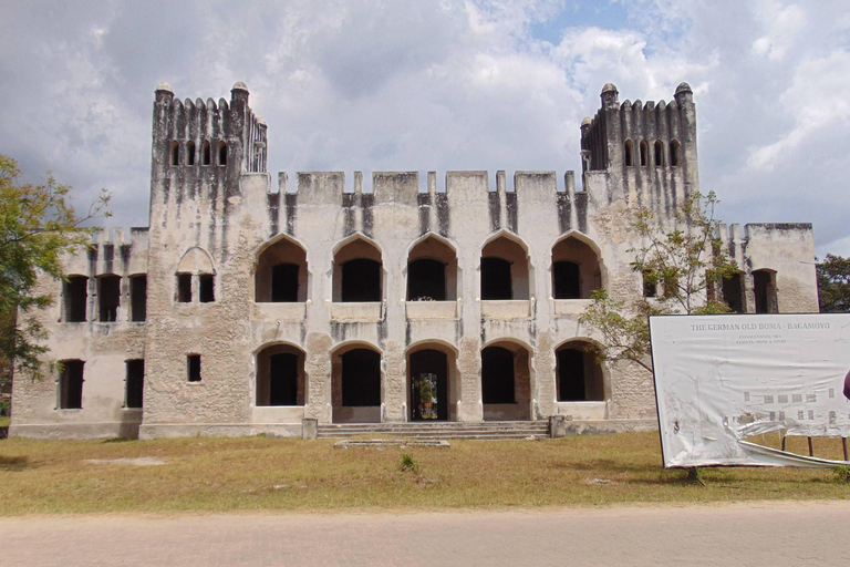 坦桑尼亚：从海岸到湖泊的 10 天社区野生动物之旅坦桑尼亚：从海岸到湖泊的 10 天社区之旅
