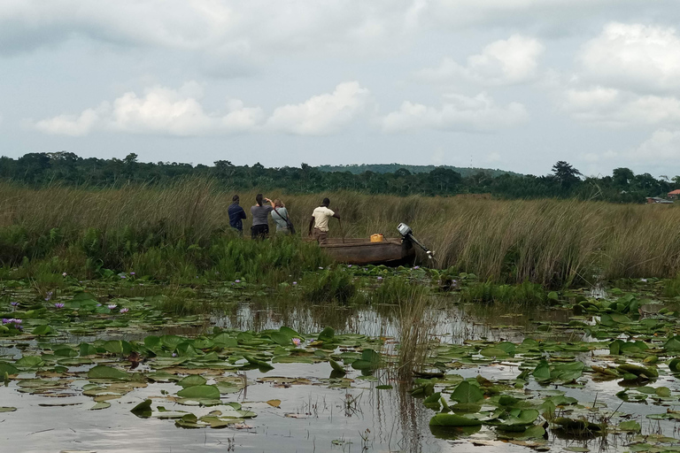 From Kampala: Mabamba Swamp Birding Half-Day Tour From Kampala: Mabamba Swamp Birding Day Tour