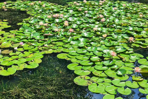 Guangxi: Qingxiu Mountain Admission Ticket