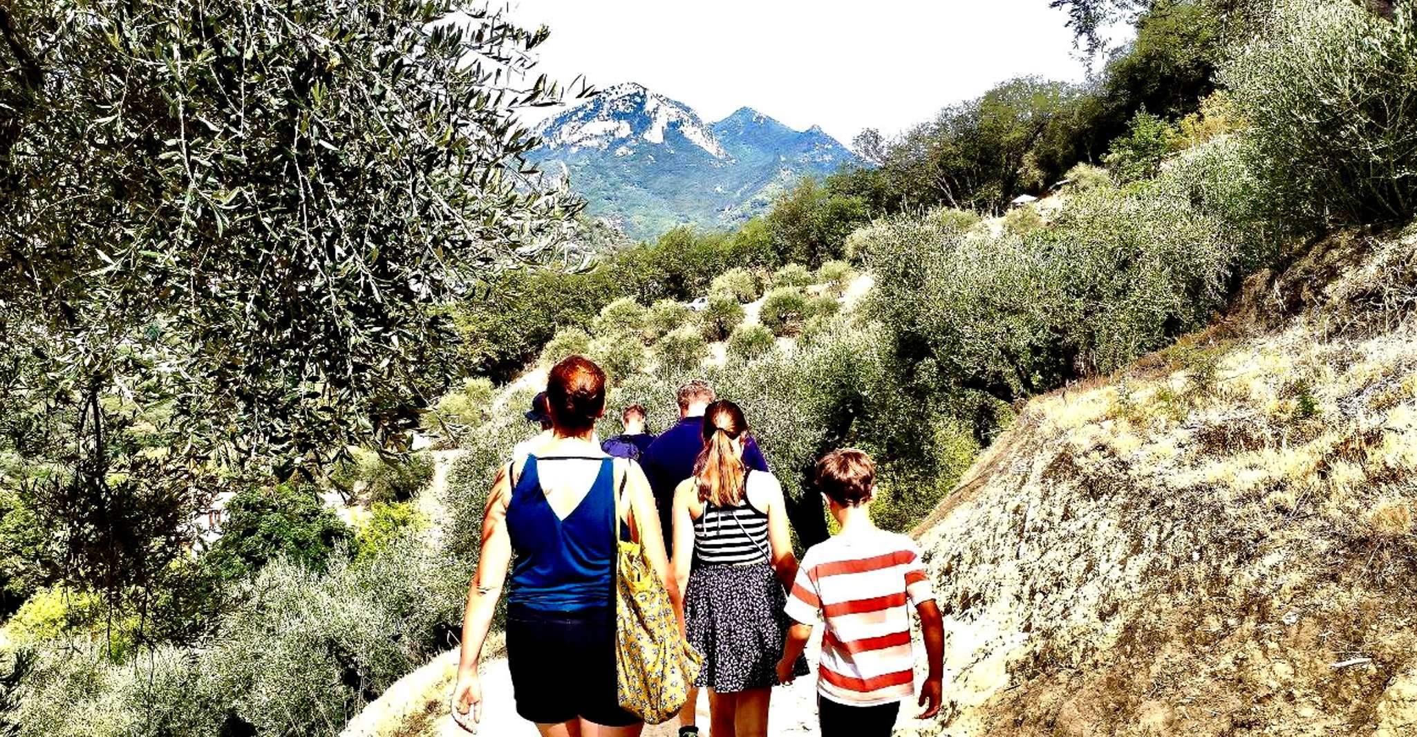 Menton ganztägig, Citrus Farm, Old-Town (Botanic & Boat Exp) - Hizvo