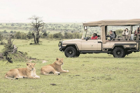 From Zanzibar:Mikumi Safari Day Trip with Flights and Lunch
