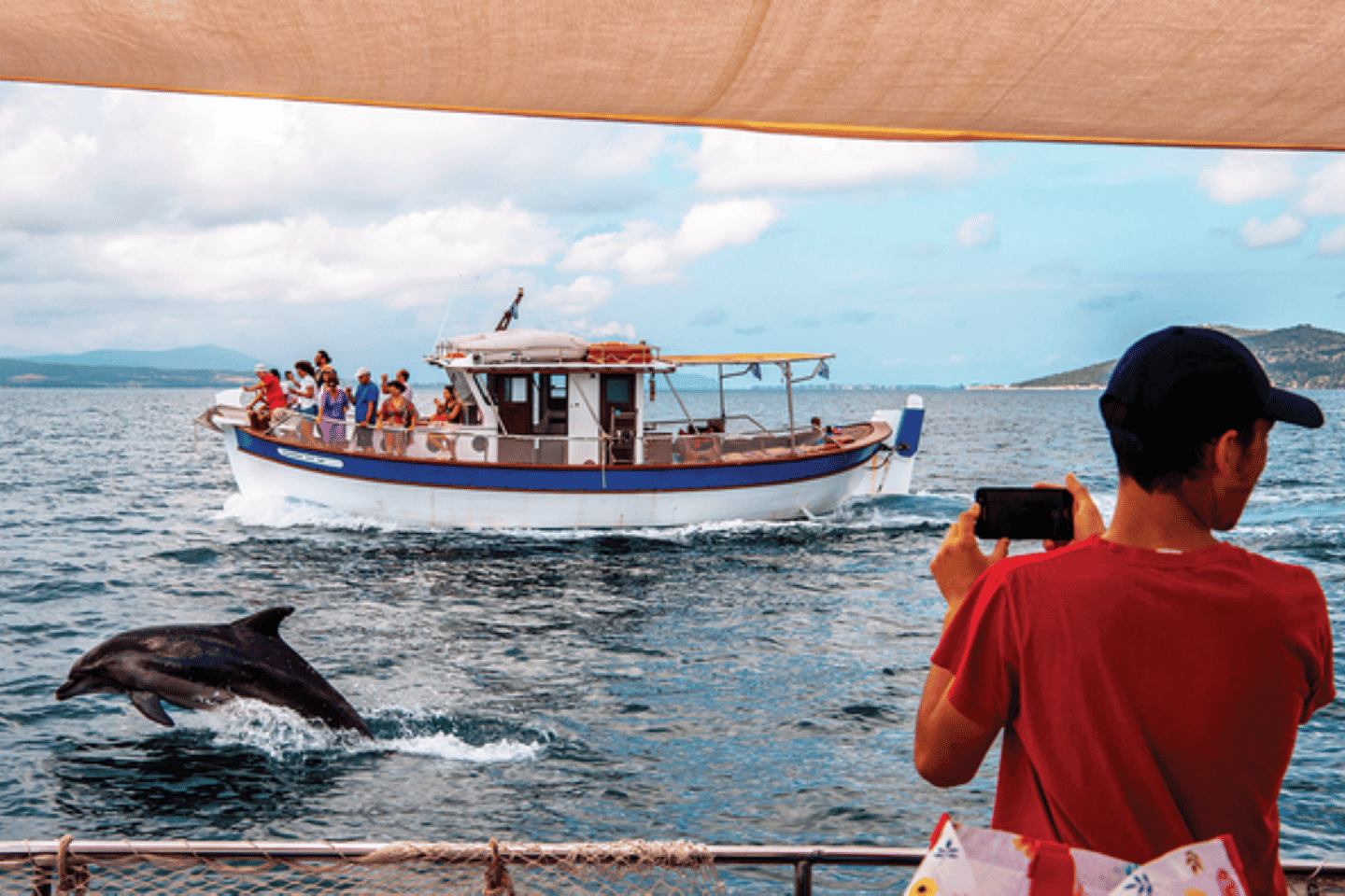 Preveza: Delfinbeobachtungskreuzfahrt mit Mittagessen und Getränken