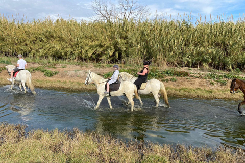 Málaga: Guided tour on horseback in the Guadalhorce ValleyMalaga: Guided tour on horseback through the Guadalhorce Valley in English