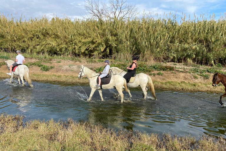 Málaga: Guided tour on horseback in the Guadalhorce ValleyMalaga: Guided tour on horseback through the Guadalhorce Valley in English