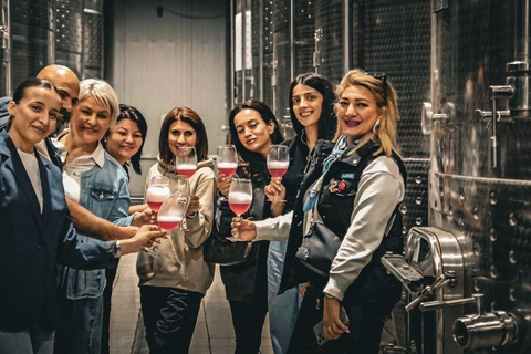 Ijevan: Wein- und Schnapsfabrik-Tour mit Verkostung