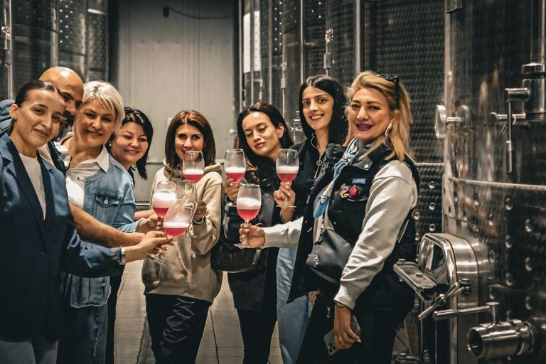 Ijevan: Visita à fábrica de vinho e aguardente com prova