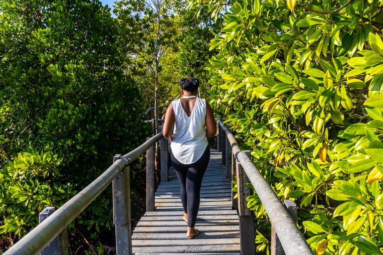 Exploring Nature's Treasures: A Private Day Trip in Diani Exploring Nature's Treasures: A Day Trip in Diani