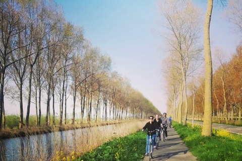 From Bruges: Half-Day Guided E-Bike Tour to Dutch border