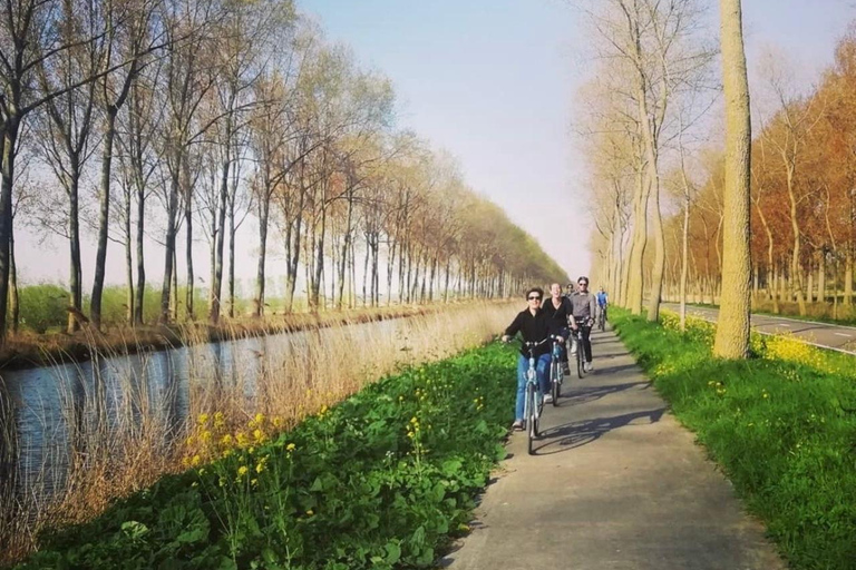 From Bruges: Half-Day Guided E-Bike Tour to Dutch border