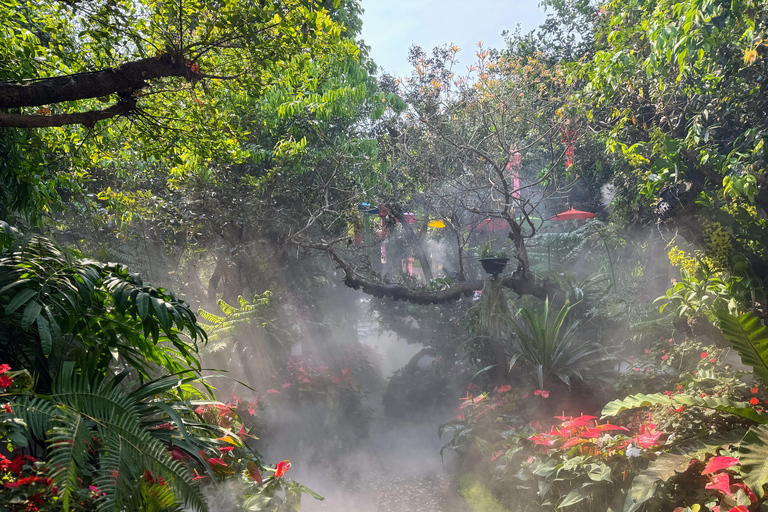 Chiang Rai: Private Half Day Tour – Temples & City Sights