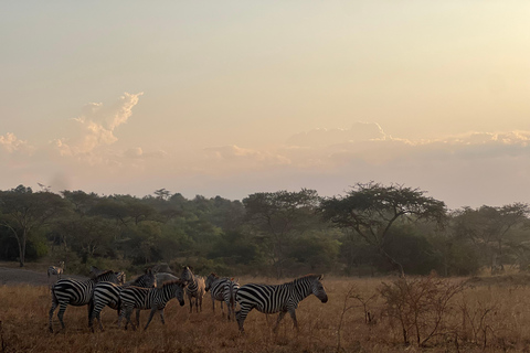 Entebbe: Nationaal Park Lake Mburo, Equator Tour &amp; Rondvaart