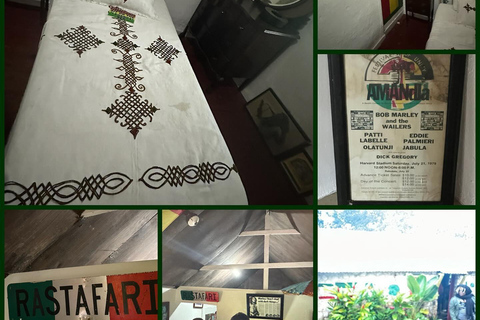 Bob Marley, Dunn’s River Falls and Luminous Lagoon Tour From Grand Palladium/ Lady Hamilton