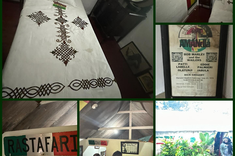 Bob Marley, Dunn’s River Falls and Luminous Lagoon Tour From Grand Palladium/ Lady Hamilton