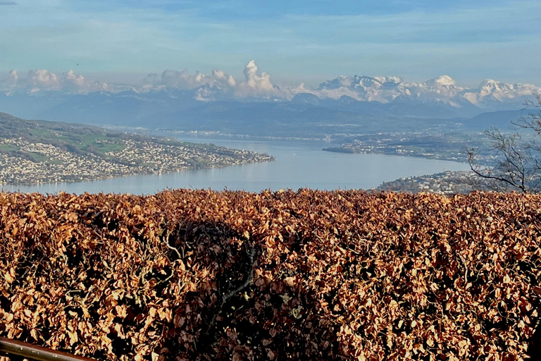 Zurich: Raclette Experience at Uetliberg, Zurich's Viewpoint