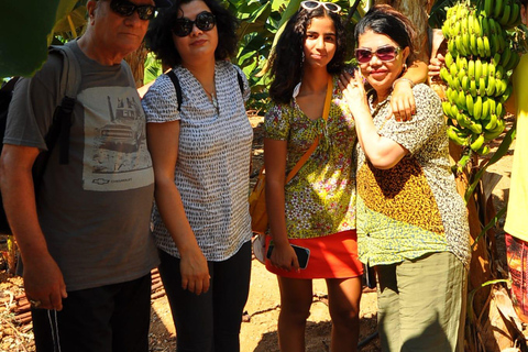 Alanya: Cabrio Bus Safari, Dim Cave w/Lunch at Dimcay River