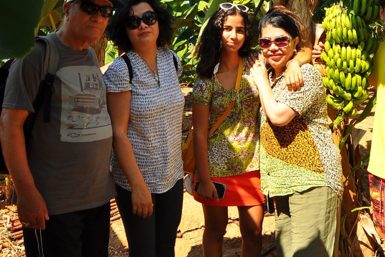 Alanya: Cabrio Bus Safari, Dim Cave w/Lunch at Dimcay River