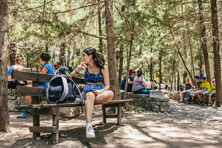 De Chania: Caminhada de 1 Dia à Garganta de SamariáDe Kalyves ou Almyrida