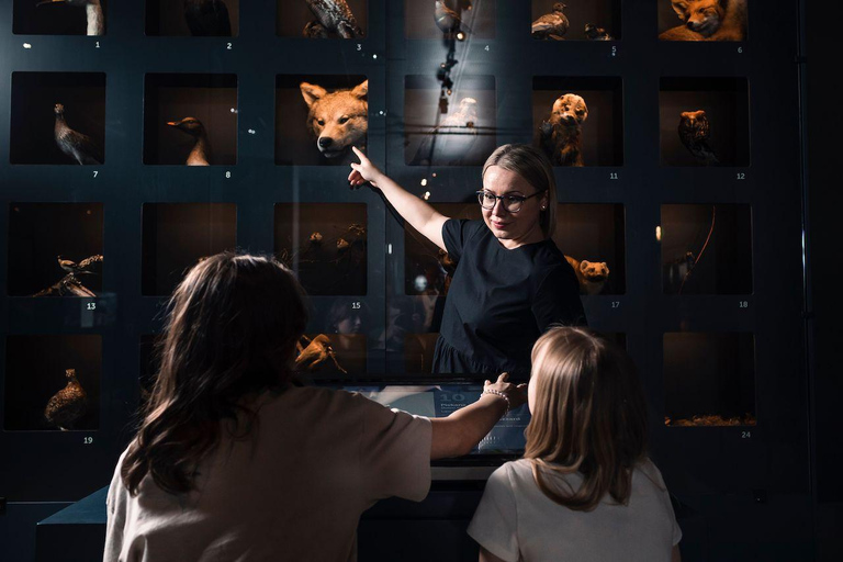 Rovaniemi : billet d&#039;entrée au centre scientifique et au musée Arktikum