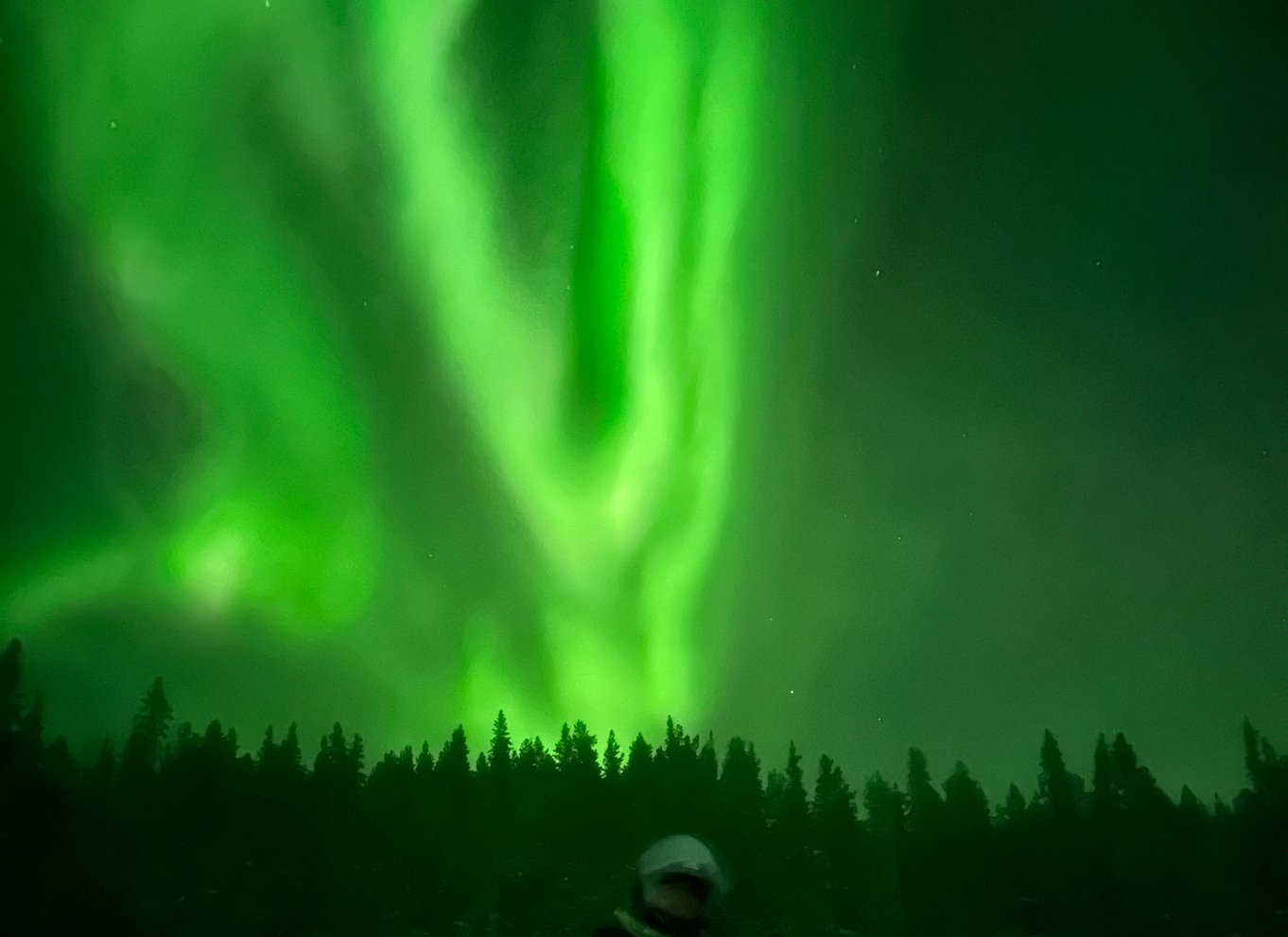 Kiruna: Guidet snescootertur og nordlysjagt