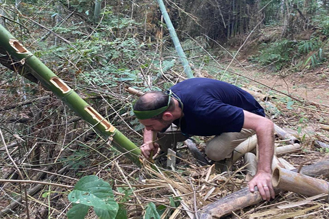 1 Day Trekking in Chiang Rai forest (walk only)