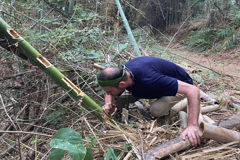 1 Day Trekking in Chiang Rai forest (walk only)