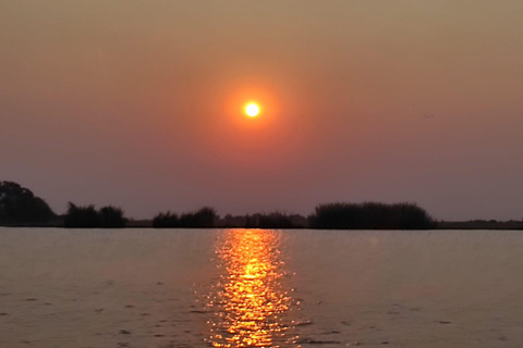 Dagsutflykt från Victoriafallen: Chobe NP land- och flodsafari