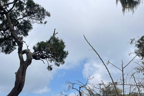 10-Day Simien Mountains Trek: Summit Stunning Ras Dejen