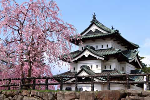 Aomori: Hirosaki Private Shore Excursion for cruise guests - Image 3