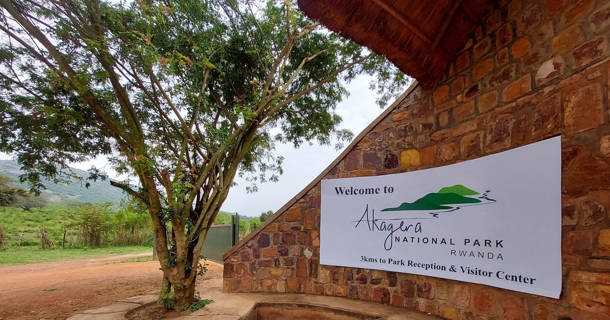Akagera National Park Safari Ein Tag voller Wildtierwunder GetYourGuide