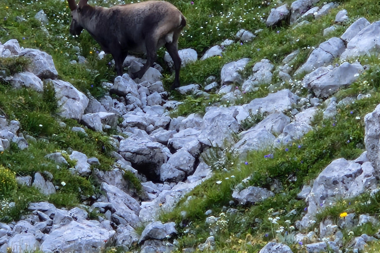 Wien: 2-tägige Alpen-Wanderung mit Tourguide und Transfer