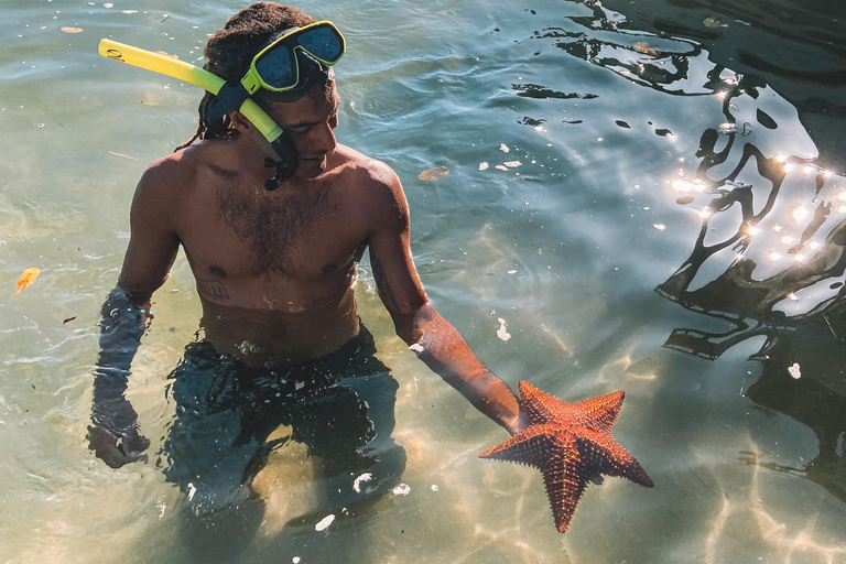 Paraty: Una experiencia exclusiva en un tour privado en lancha rápida