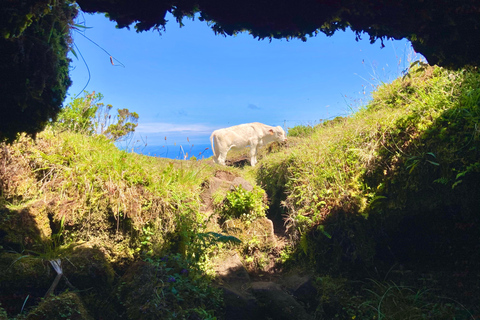 Pico Island: Lagoons and Mysterious Lava Tunnels Guided Tour