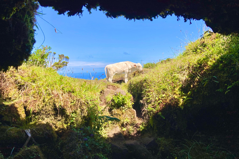 Pico Island: Lagoons and Mysterious Lava Tunnels Guided Tour